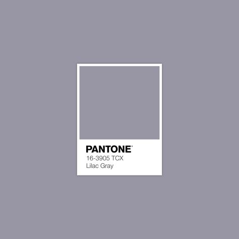 Pantone 16-3905 TCX Lilac Gray Metallic Pantone, Pantone Swatches, Pantone Palette, Pantone Colour Palettes, Pantone Colors, Fall Color Palette, Colour Board, Color Swatch, Colour Schemes