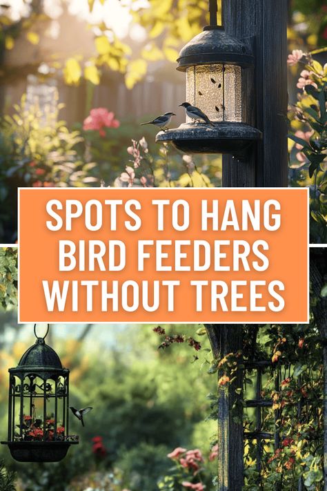 Unique Spots to Hang Bird Feeders Without Trees Bird Feeder Setup, Gazebo Bird Feeder, Platform Bird Feeder, Bird Feeder Hangers, Bird Feeder Station, Large Bird Feeders, Garden Setup, Unique Bird Feeders, Backyard Birds Feeders