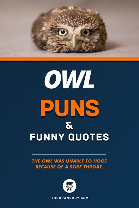 Owls are beautiful creatures full of wisdom and there is so much to love about owls. Well, there is. Owls are wise, beautiful, mysterious, nocturnal and can rotate their heads flexibly. #FunnyQuotes #FunnyPuns #PunsandQuotes #OwlPuns Owl Jokes Funny, Owl Puns Funny, Quotes About Owls, Wise Owl Quotes, Owl Sayings Cute, Owl Sayings Quotes, Owl Quotes Cute, Funny Owl Quotes, Owl Sayings