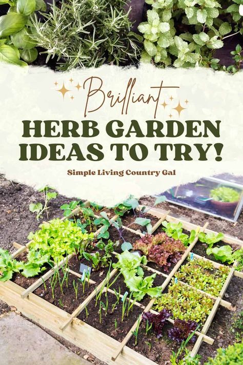 Looking for space-saving ways to grow herbs? Check out these creative container herb garden ideas using everyday items. Add fresh flavors to your meals without taking up much space. #HerbGardening #SmallSpaceGardening Herb Outdoor Planters, Container Herb Garden Ideas, Apartment Herb Gardens, Garden Ideas For Small Spaces, Raised Herb Garden, Herb Garden Ideas, Container Herb Garden, Wooden Garden Table, Raised Planter Boxes