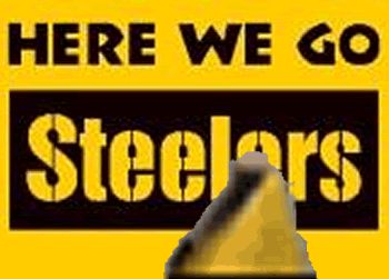 Steelers Images, Terrible Towel, Steelers Sign, Pittsburgh Steelers Wallpaper, Steelers Pics, Here We Go Steelers, Steelers Country, Steelers Baby, Steelers Girl