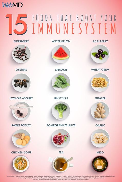 Food For Immune System, How To Boost Your Immune System, Immunity Boost, Immune Boosting Foods, Immune System Boosters, Low Fat Yogurt, Boost Immune System, Boost Your Immune System, Immune Health