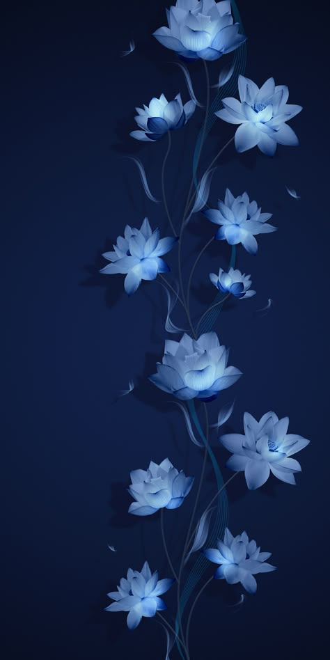 Dark Blue And White Wallpaper, Blue Lilies, Blue Roses Wallpaper, Blue Flower Wallpaper, نباتات منزلية, Flower Iphone Wallpaper, Trendy Flowers, Flower Background Wallpaper, Beautiful Wallpapers Backgrounds