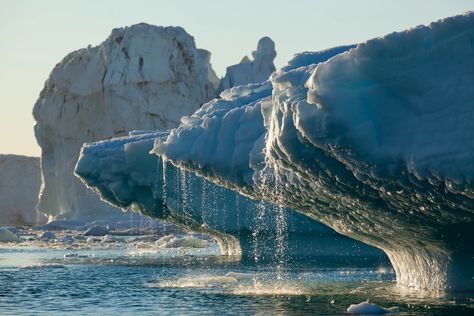 Startling facts from bombshell sea level rise report Rising Sea Levels, Sea Level Rise, Climate Action, Sea Level, Too Late, Water, Potsdam