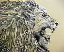 ROAR!!! This artist's ability to convey emotion through the use of white and black charcoal is as fierce as the lion itself! Lion Side View, Realistic Lion Drawing, Roaring Lion Drawing, Side Sketch, Lion Head Drawing, Servants Heart, Side View Drawing, Lion Sketch, Black And White Lion