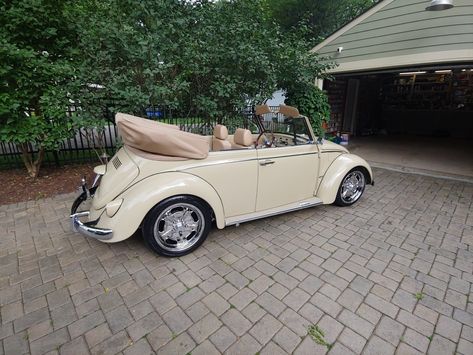 Cream Bug Car, Vw Beatle Convertable, Buggy Convertible, Convertible Beetle, Bug Convertible, Vw Bug Convertible, Vw Convertible, Vintage Convertible, Vw Beetle Convertible