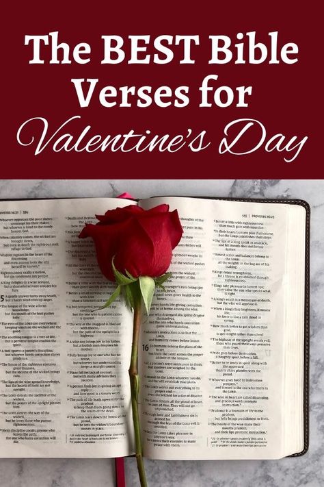 Valentine's Day is such a fun holiday. It's not only a day to celebrate a romantic relationship, but also a day to celebrate love in general. And the best place to look for examples and definitions of love is from the creator of love: God.So this Valentine's season I want to make sure I focus my family's attention on the love that is found in the Bible. That's why I put together a list of Bible verses for Valentine's Day. I hope you are able to use this list of verses as well. Bible Verse For February, Bible Valentine Quotes, Biblical Valentines Day Quotes, Bible Verse For Anniversary, Bible Verses For Valentines Day, Romantic Bible Verses For Him, Valentines Day Bible Verses, Love Scriptures Bible, Romantic Bible Verses