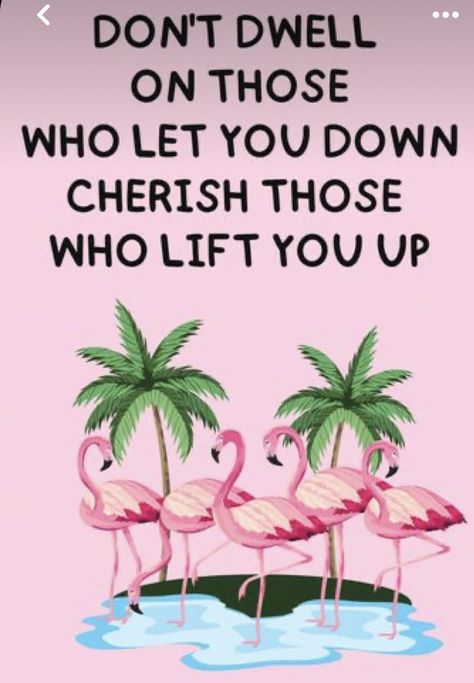 Flamingo T-shirt, Flamingo Quotes, Flamingos Quote, Flamingo Pictures, Flamingo Photo, Excellence Quotes, Fancy Flamingo, Let's Flamingle, Happy Day Quotes