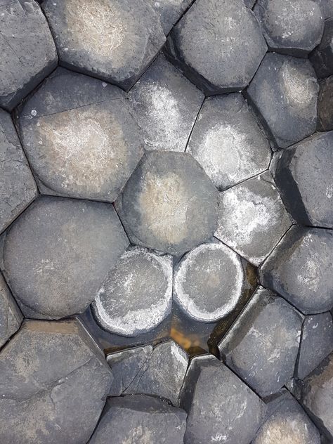 Basalt rock formation on the giants causeway ,northern ireland Giant Causeway, Giants Causeway, Basalt Rock, The Giants, Rock Formations, Macro Photography, Northern Ireland, Landscaping