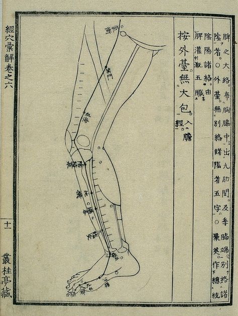 The Spleen Meridian Heart Flow, Chinese Prints, Fire Element, Green To Blue, Energy Medicine, Fifth Element, Acupressure Points, Blood Cells, Earth Elements