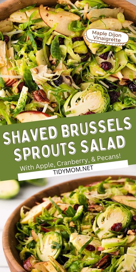 If Brussels sprouts salads aren’t on your radar yet, then you're in for a surprise! Combined with juicy apples, toasted pecans, tart cranberries, and maple dijon vinaigrette there’s no doubt why this shredded Brussels sprouts salad is all the rage. PRINTABLE RECIPE at TidyMom.net Brussels Sprouts Salad Recipe, Shredded Brussel Sprout Salad, Brussel Sprout Salad Recipes, Salad With Cranberries, Brussels Sprouts Salad, Winter Salad Recipes, Sprout Salad, Sliced Pears, Shredded Brussel Sprouts