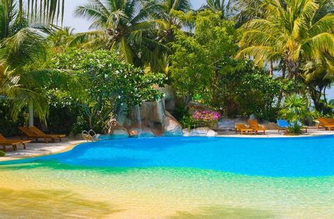 Beach entry lagoon style swimming pool with tropical landscaping Beach Entry Pool, Luxury Swimming Pools, Lagoon Pool, Mini Pool, Backyard Beach, Pool Picture, Tropical Pool, Natural Swimming Pools, Pool Waterfall