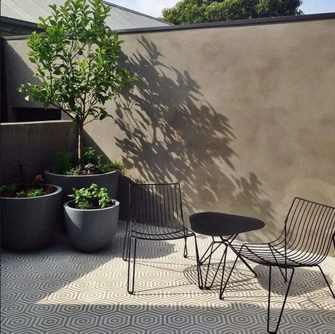 Designer Beanbags - Lujo NZ Blog - Outdoor Living Ideas – Lujo New Zealand Stucco Patio, Patio Wall Planters, Outdoor Living Ideas, Wall Outdoor, Patio Wall, Front Patio, Have Inspiration, The Courtyard, Outdoor Inspirations