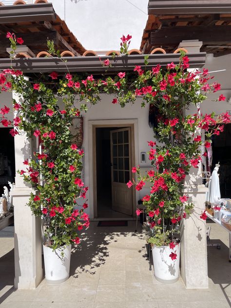 Spanish Landscaping, Formal Garden, Compound Wall Design, Outdoor Backyard, Front Gate Design, Garden Trellis, Tropical Gardens, Front Yard Landscaping Design, House Arch Design