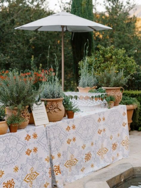 7 Creative Ways To Use Potted Plants In Your Wedding Decor Italian Wedding Grazing Table, Wedding Welcome Drinks Table, Herbs Wedding Decor, Backyard Welcome Party, Doctor Wedding, Food Staging, Summer Hosting, Red Events, Herb Wedding