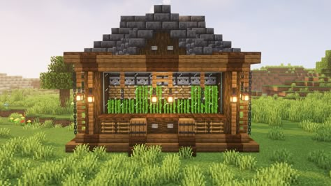 This is a simple sugarcane farm design in minecraft, in this video i show you step by step how to build this farm. #minecraft #minecraftsugarcane #minecraftsugarcanefarm #minecraftsugarcanefarmtutorial Cute Sugarcane Farm Minecraft, Coco Bean Farm Minecraft, Sugarcane Farm Minecraft Design, Minecraft Sugarcane Farm Ideas, Automatic Sugar Cane Farm Minecraft, Sugarcane Farm Minecraft, Sugar Cane Farm Minecraft, Farm Design Minecraft, Minecraft Farm Design