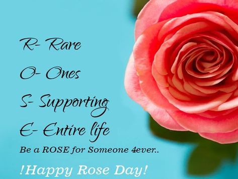 Top 20 Rose Day Quotes | Happy Rose Day Images For Your Loved Ones | Rose day shayari, Happy quotes, Rose day pic Rose Day Quotes For Him, Quotes For Him Aesthetic, Happy Rose Day Images, Rose Day Pic, Rose Day Images, Rose Day Shayari, Rose Day Quotes, Him Aesthetic, Happy Rose Day