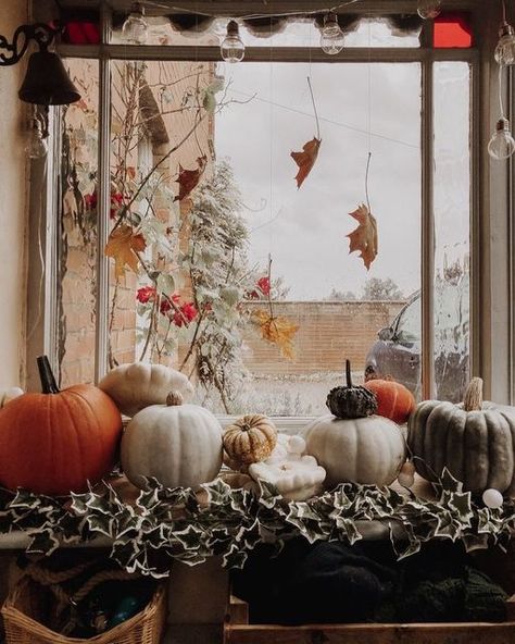 Fall Window Display Home, Pumpkin Window Display, Fall Window Display, Halloween Window Display, Autumn Window Display, Fall Windows, Storefront Design, Halloween Window, Pumpkin Leaves