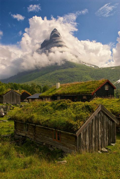 Renndølsetra, Norway, The Land Of Fjords, Trolls, And Vikings Norway Landscape, Visit Norway, Beaux Villages, Green Roof, Reykjavik, The Roof, Pool House, Funny Animal, House In The Woods