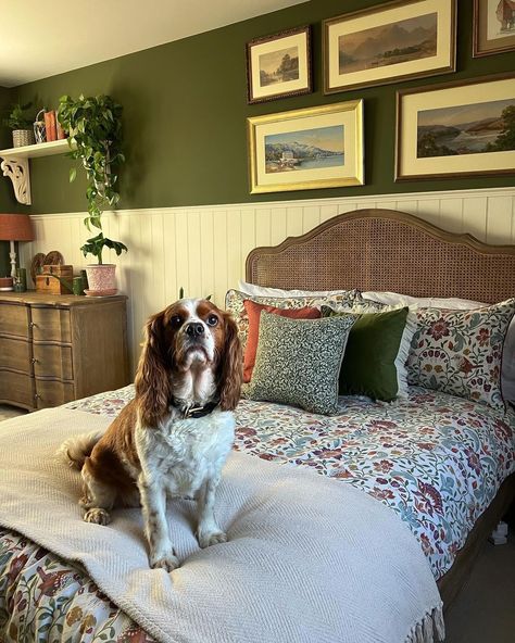 Welcoming the first day of spring with the earthy tones and leafy accents of @bland_now_grand's gorgeous, green oasis 🌿🌸 #featherandyou Featured products 🛒: Sienna Rattan Bed Frame Emporium Grande 3 Drawer Chest Rattan Bed Frame, Rattan Bed, Green Oasis, 3 Drawer Chest, First Day Of Spring, Drawer Chest, 3 Drawer, Earthy Tones, First Day