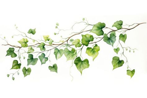 Plant leaf vine ivy. AI generated Image by rawpixel. | premium image by rawpixel.com Ivy Background, Creepers Plants, Blog Banner, Download Free Images, Creepers, Free Image, Art Inspo, Ivy, Vines