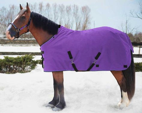 Purple Horse Tack, Horse Poses, Dream Horse Barns, Horse Blanket, Western Stuff, Horse Ideas, Western Tack, Western Horse Tack, Dream Horse