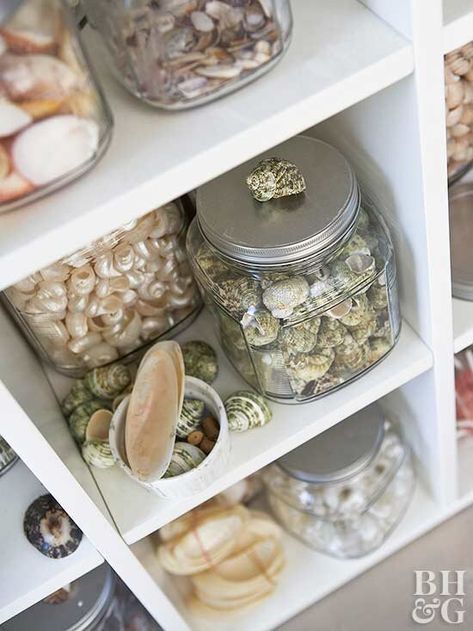 storage jars Diy Jewelry Rack, Antique Display Case, Decorative Plates Display, Unique Bookcase, Seashell Display, Vintage Cart, Shell Display, Jar Display, Display Family Photos