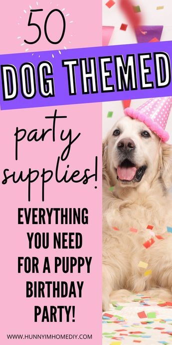 Dog Party Ideas Decoration 2nd Birthday, Dog Birthday Decorations Diy, Fiesta Dog Party, Puppy Dog Birthday Party Ideas, Birthday Party Themes For Dogs, Senior Dog Birthday Party, Birthday Themes For Dogs, Birthday Party For A Dog, Dog Birthday Decoration Ideas