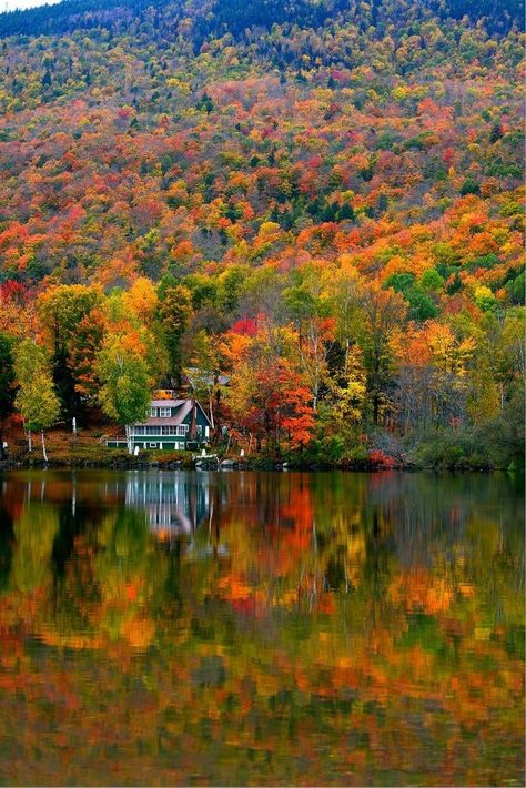 𝐷𝑎𝑛𝑖𝑒𝑙𝑙𝑒 on Twitter: "Good morning 🍁 https://t.co/PxnT75fPtT" / Twitter Autumn In Vermont, On Golden Pond, Vintage Autumn, Lovely Smile, Fall Time, Colorful Trees, Autumn Painting, Favorite Season, Tuscany Italy