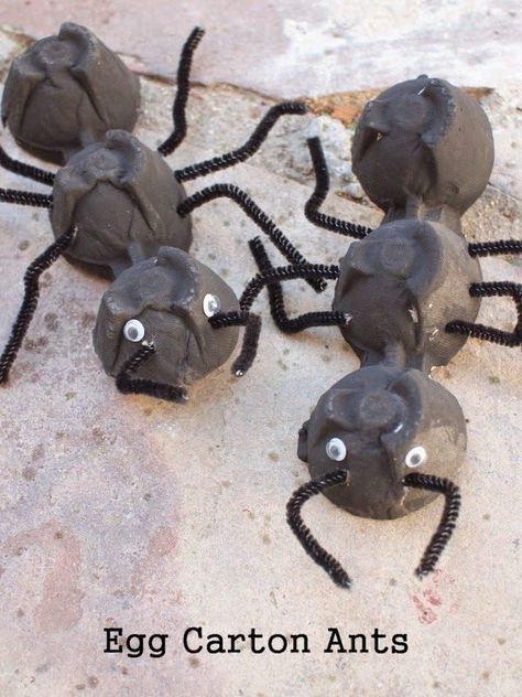 egg carton ant craft More Egg Carton Bugs, Egg Carton Art, Ant Crafts, Insect Activities, Insect Crafts, Insects Theme, Bug Crafts, Egg Carton Crafts, Insect Art