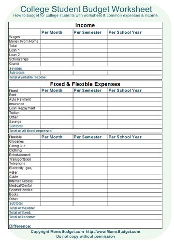 College Student Budget Worksheet Student Budgeting, College Help, College Student Budget, Organization Goals, Financial Budget Planner, Printable Budget Worksheet, Kids Budget, College Budgeting, Financial Empowerment