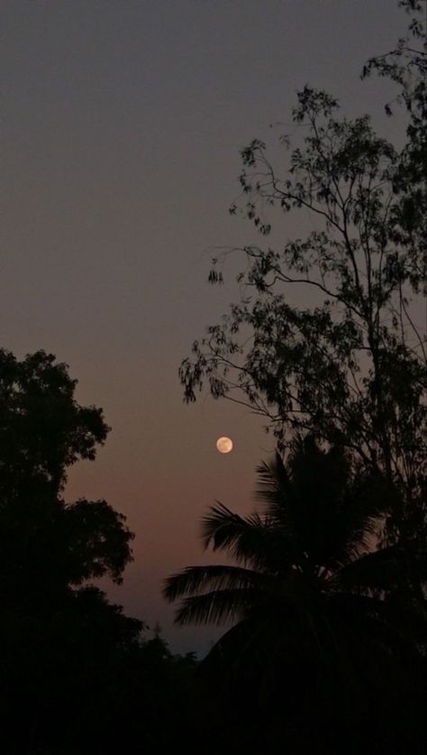 The Moon, Trees, Moon