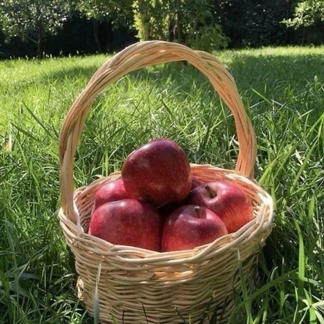 farmers daughter 🍎👢 #pintrest #girly The Farmer's Daughter Aesthetic, Farmers Daughter Aesthetic Core, Farmer Daughter Aesthetic, Juno Core Aesthetic, Farmers Aesthetic, Farmer Girl Aesthetic, Farmers Daughter Core, Farmer Aesthetic, Archive Moodboard