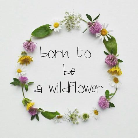 Born to be a wildflower Be A Wildflower, Girls Nursery Decor, Flower Nursery Decor, Flower Cottage, Wildflower Garden, Girls Nursery, Summer Girl, Flower Quotes, Nursery Decor Girl