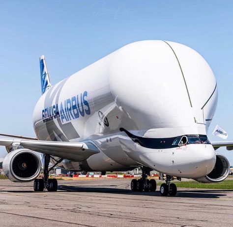 Aviation Photography on Instagram: “First Airbus A330 Beluga flight Photo by @speedbirduk #peroaviation” Airbus Beluga, Airbus A330, Toulouse France, Aviation Photography, Aircraft Pictures, Toulouse, You Think, Flight, Aircraft