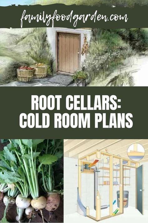 Basement Root Cellar, Underground Root Cellar, Root Cellar Plans, Root Cellar Storage, Root Cellars, Food Storage Rooms, Storage Rooms, Homesteading Diy, Root Cellar