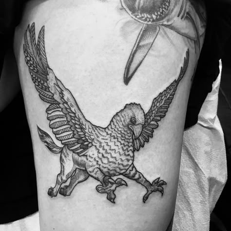 Buckbeak by Anka Lavriv (@ anka.tattoo) #harrypottertattoo #buckbeak Buckbeak Tattoo Harry Potter, Tattoo Of Harry Potter, Harry Potter Buckbeak Tattoo, Harry Potter Hippogriff Tattoo, Hypogriff Tattoo, Buckbeak Tattoo, Dark Castle Tattoo, Hippogriff Tattoo, Mountain Dragon