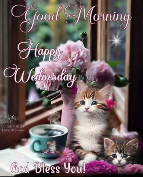 Wednesday Morning Greetings Funny, Good Morning Monday Cats, Kelly's Treehouse Good Morning, Good Morning Sunday Cats, Wednesday Morning Greetings, Good Morning Cat, Sunday Morning Memes, Wednesday Greetings, Morning Wednesday