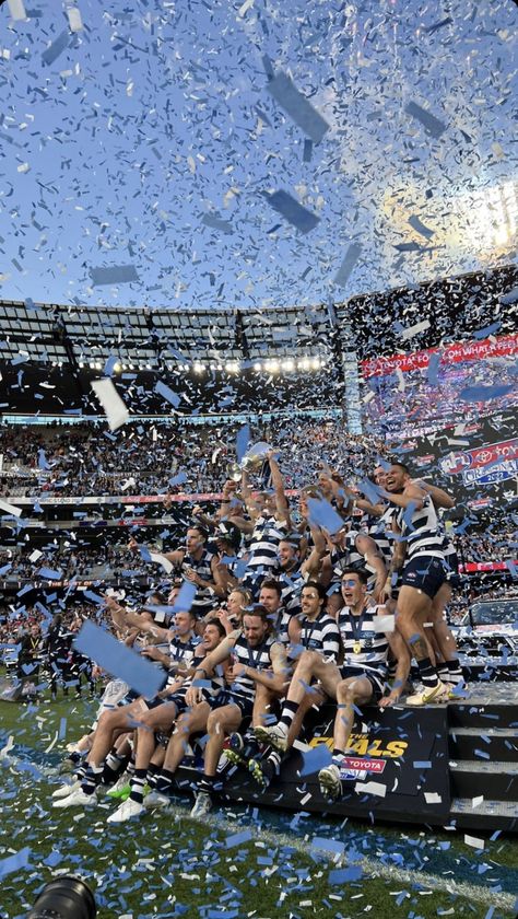 Geelong Cats Football, Geelong Football Club, Australian Football League, Life Manifestation, Geelong Cats, Cat Collage, Australian Football, Netball, Cat Wallpaper