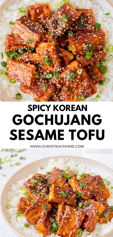 Spicy Gochujang Sesame Tofu Vegan Gochujang, Korean Tofu, Tofu Fried, Sesame Tofu, Tofu Dishes, Spicy Korean, Fried Tofu, Tofu Recipes, Asian Cooking