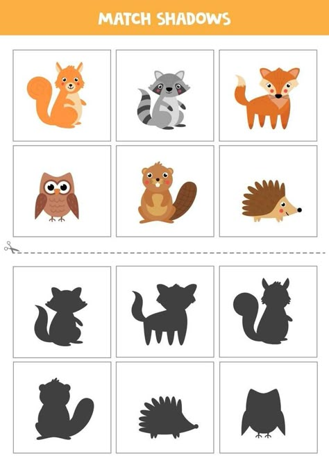 Forest Animals Preschool, Forest Animal Crafts, Forest Preschool, Animal Matching Game, Shadow Matching, Animal Worksheets, Kindergarden Activities, Baby Learning Activities, Flashcards For Kids