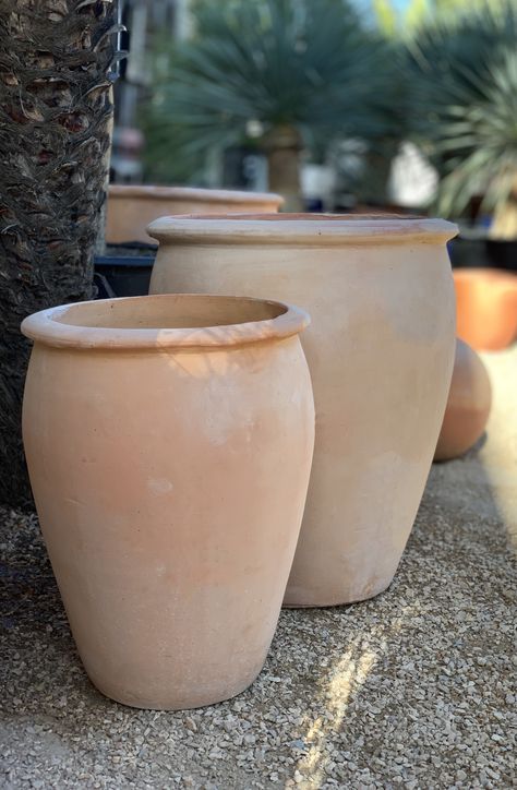 Terra Cotta Clay Pots - Flora Grubb Gardens Help and How-To Large Terracotta Planters, Terra Cotta Pots Garden, Outside Planters, Rustic Plant Stand, Large Terracotta Pots, Modern Gardens, Terra Cotta Clay, Flora Grubb, Terra Cotta Clay Pots