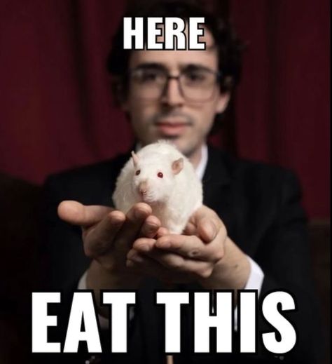 Will Wood And The Tapeworms Pfp, Wood Reference, Rat Meme, Will Wood And The Tapeworms Memes, Ratatouille Rat Memes, Will Wood, Lemon Demon, Funky Music, Funny Pet Rat Memes