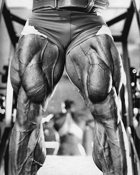 Holy legs! #veins #huge Indian Bodybuilder, Mr Muscle, Leg Veins, Bodybuilding Pictures, Killer Legs, Muscle Up, Bodybuilding Motivation, Bodybuilding Workouts, Toned Body