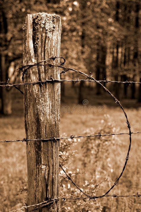 Fence Post and Barbed Wire. With Forest Background, sepia toned , #AFFILIATE, #Barbed, #Wire, #Fence, #Post, #sepia #ad Old Wooden Fence, Barbed Wire Fence, Wooden Fence Posts, Brown Pictures, Barbed Wire Fencing, Fence Post Caps, Widget Board, Christmas Wallpaper Free, Country Fences