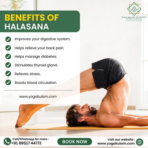 Halasana, also known as the Plow Pose, is a yoga asana that involves lying on your back and lifting your legs over your head to touch the floor. It's excellent for stretching the shoulders, spine, and hamstrings & can aid in improving flexibility and relaxation. Here are the benefits of Halasana (Plow Pose). Join Our Upcoming Yoga Teacher Training Courses in Kerala, Goa, Nepal & Bengaluru 📧 For Enquiries and registration, 🔗 Website: www.yogakulam.com 📧 Email: yogakulamacademyinternational@g... Triphala Churna Benefits, Kakasana Vs Bakasana, Plow Pose, Halasana Pose Benefits, Yoga Chaturanga Tips, Improving Flexibility, Upavistha Konasana, Yoga School, Improve Flexibility