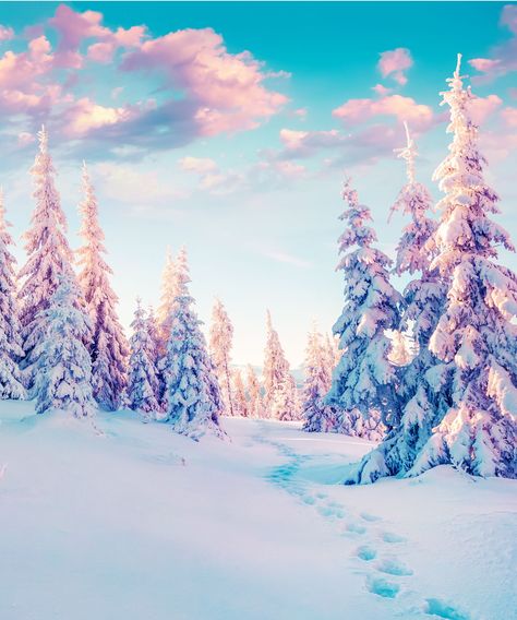 After A Year Like This, You Need To Celebrate The Winter Solstice #refinery29 http://www.refinery29.com/2016/12/133497/winter-solstice-rituals-celebrations-spiritual-meaning Desenho Tom E Jerry, Pretty Backgrounds, Winter Photos, Winter Wallpaper, Winter Scenery, Winter Beauty, Wallpapers Iphone, Snow Scenes, Winter Pictures