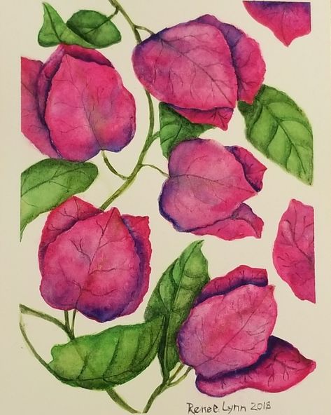 Bougainvillea watercolor painting Bougenville Painting, Bougainvillea Painting On Wall, How To Draw Bougainvillea, Bogenvilla Flower Painting, Buganvilla Painting, Bougainvillea Painting Watercolors, Bougainvillea Drawing, Bouganvilla Flower, Bougainvillea Decor