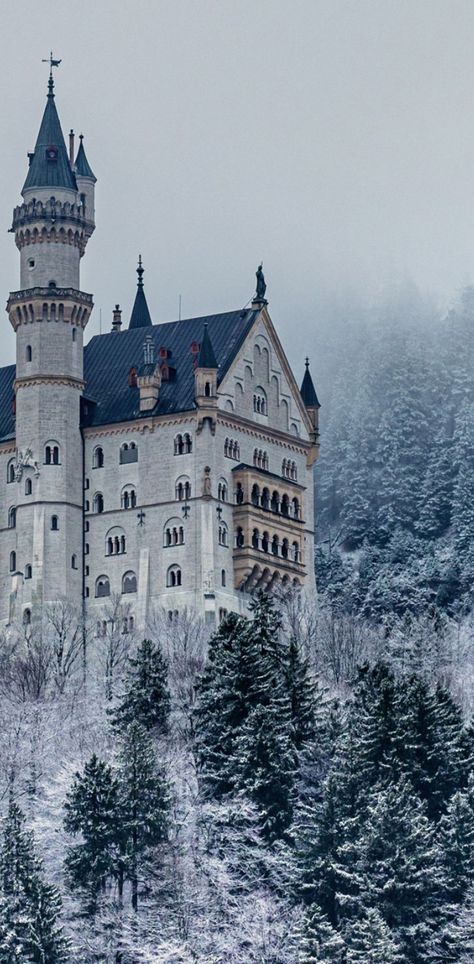 Day Trips From Munich, Trips In Europe, Europe In Winter, Castle Germany, Best Road Trips, Old Castle, Capital Cities, Castle Aesthetic, Germany Castles