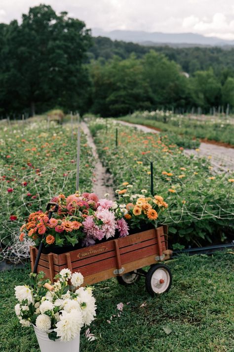 Abby Core, Outdoor Garden Design, Design Garden Ideas, Cut Flower Farm, Aesthetic Header, Garden Farm, Future Farms, Farm Garden, Garden Spring